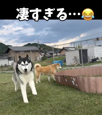 まだまだ若者には負けない大御所