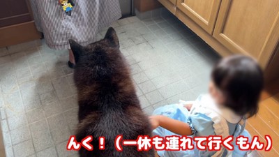 女の子も泣き出した…