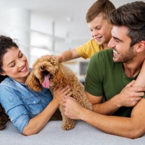犬を迎える前に知っておくべき『理想と現実』6選　ワンコのお世話で大変だと感じる瞬間とは？
