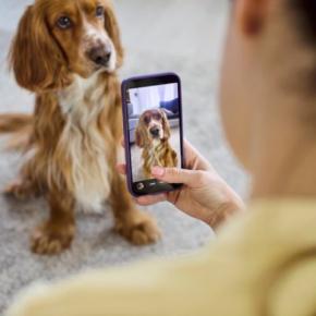 犬の飼い主がやりがちな『親バカ行為』4つ　過剰な甘やかしによって愛犬に与える悪影響とは？