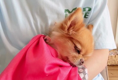 幸せなひととき…