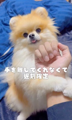 「お仕事行かないで！」