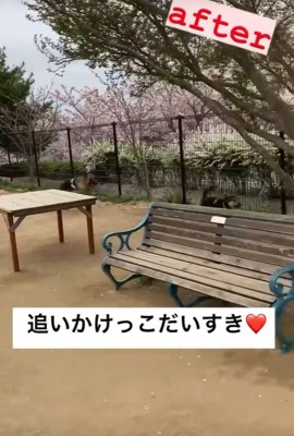 追いかけっこをして遊べるように！