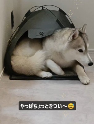 「ちょっと狭い…」