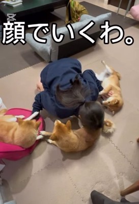 顔で撫でる次女