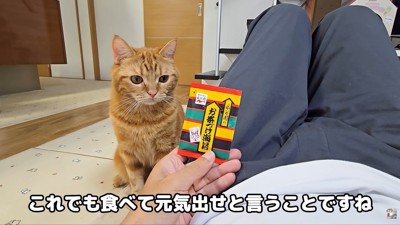 お見舞いのお茶漬けが!