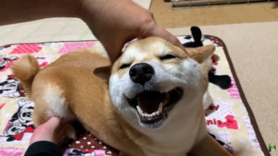 とっても幸せそう♡