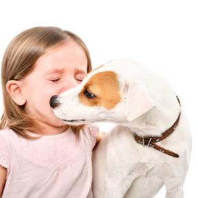 犬は飼い主が『悲しんでいる』のがわかる?人間の感情を理解する方法や心配しているときにみせる態度まで