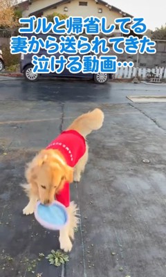 楽しそうに遊んでいる蒼空ちゃん