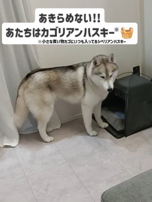 「どうしたら入れるんだろう」