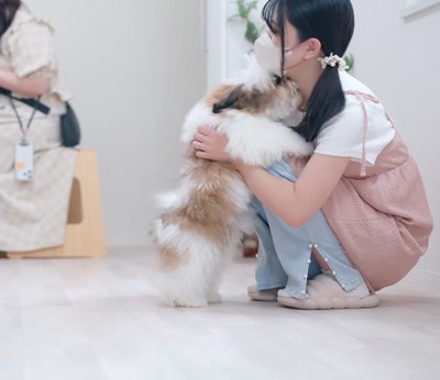 トリマーにじゃれつく子犬