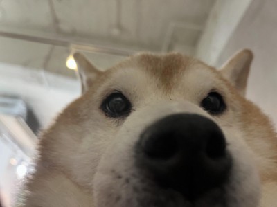 下からの眺め