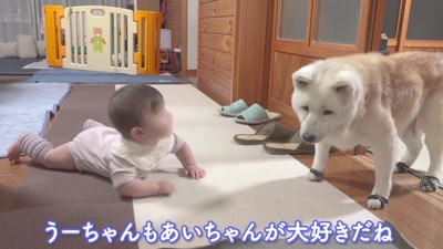 赤ちゃんが近付いてきた