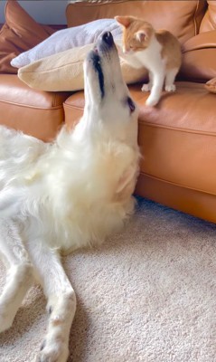 微笑ましいふれあい♪