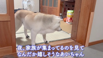 家族団らんが大好き