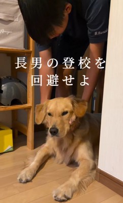 学校に行かせたくなくて通せんぼ！