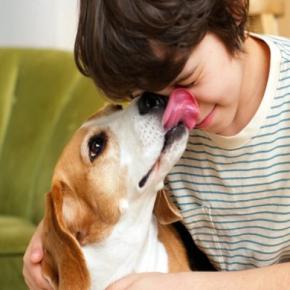 飼い主が勘違いしがちな『犬の行動』4つ　知っておくべき愛犬の本音や注意点まで解説