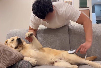 「くるしゅうない」