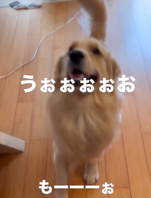 抗議する福ちゃん