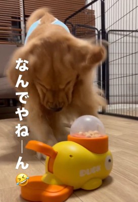 突っ込むママ
