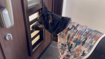 寂しそうな姿が切ない！