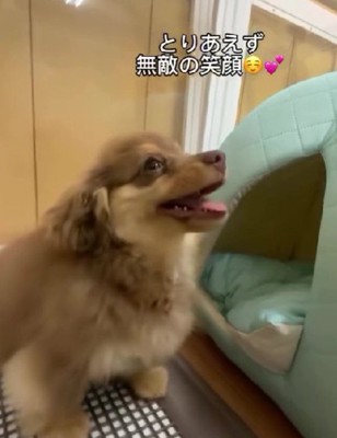 「見られてた…」