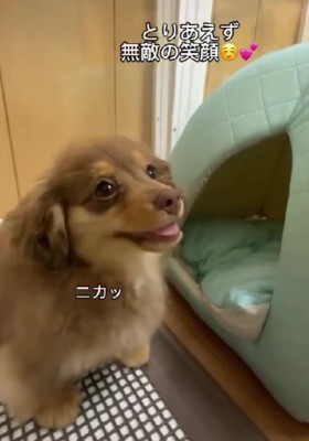 愛嬌抜群な悠ちゃんでした!!