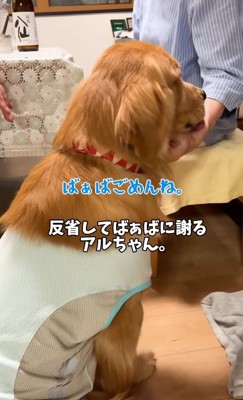 素直に謝れてお利口さんです!