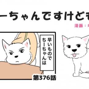 ちーちゃんですけどもっ【第376話】「49日をふり返って」