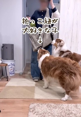 抱っこ紐を出すと…
