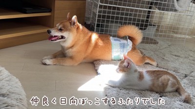 最後は仲良く半分こ♡
