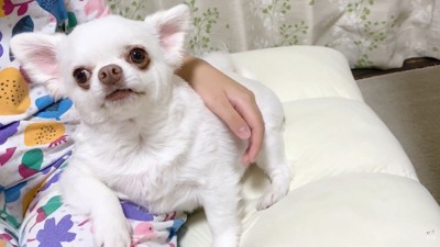 「ママと寝よう」と改めて誘ったら…