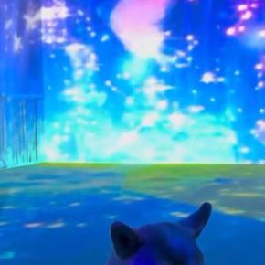 『最新式のドッグラン』にきた犬→『喜ぶかな』と思ったら…予想と違いすぎる『絶望の表情』が62万再生「背景との対比ｗ」「ごめんけど可愛すぎ」