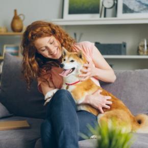 犬が『近くに寄ってくる』心理7選 飼い主にぴったりとくっつく理由や適切な接し方まで