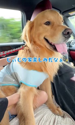 「楽しみだな~」とお目目をキラキラ