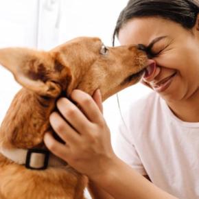 犬が舐めると危険な『体の部位』3選　愛犬の唾液による人体への悪影響まで
