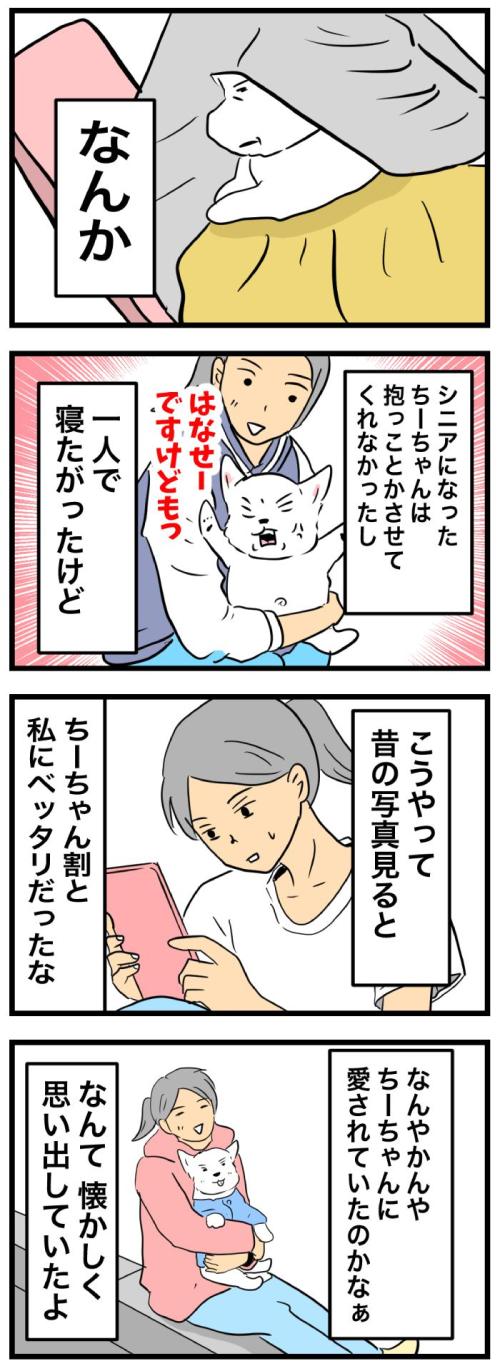 ちーちゃんですけどもっ【第376話】 2