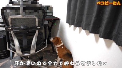 健気に待っている姿にキュン！