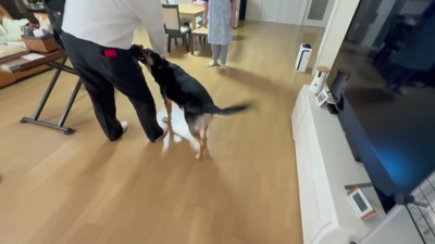 ダッシュで大歓迎♪