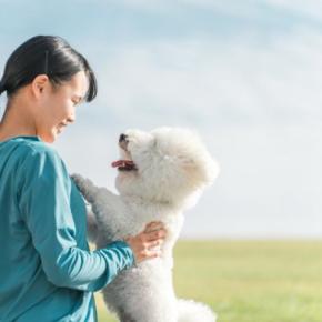 愛犬が『夢に出てくる』理由とは？夢占いではどんな意味をもつの？飼い主の心理状態まで