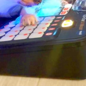 『DJをする犬』音楽をかけ、ノリノリで犬を撮影してみた結果→思わず笑ってしまう『まさかの光景』に「めっちゃパリピ犬ww」「可愛い」の声
