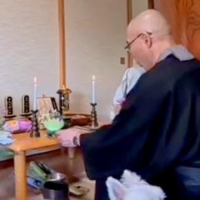 住職さんが家に来て、お経をあげた結果→一緒に参加した犬が『飽きた』と訴えて…まさかの展開に反響「修行w」「お坊さんもワンコも可愛い」