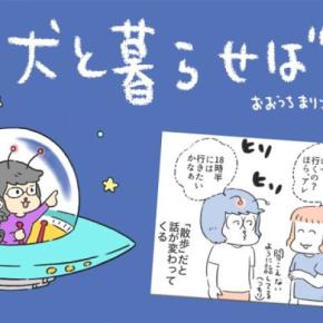 犬と暮らせば【第560話】「おでかけじゃない！？」