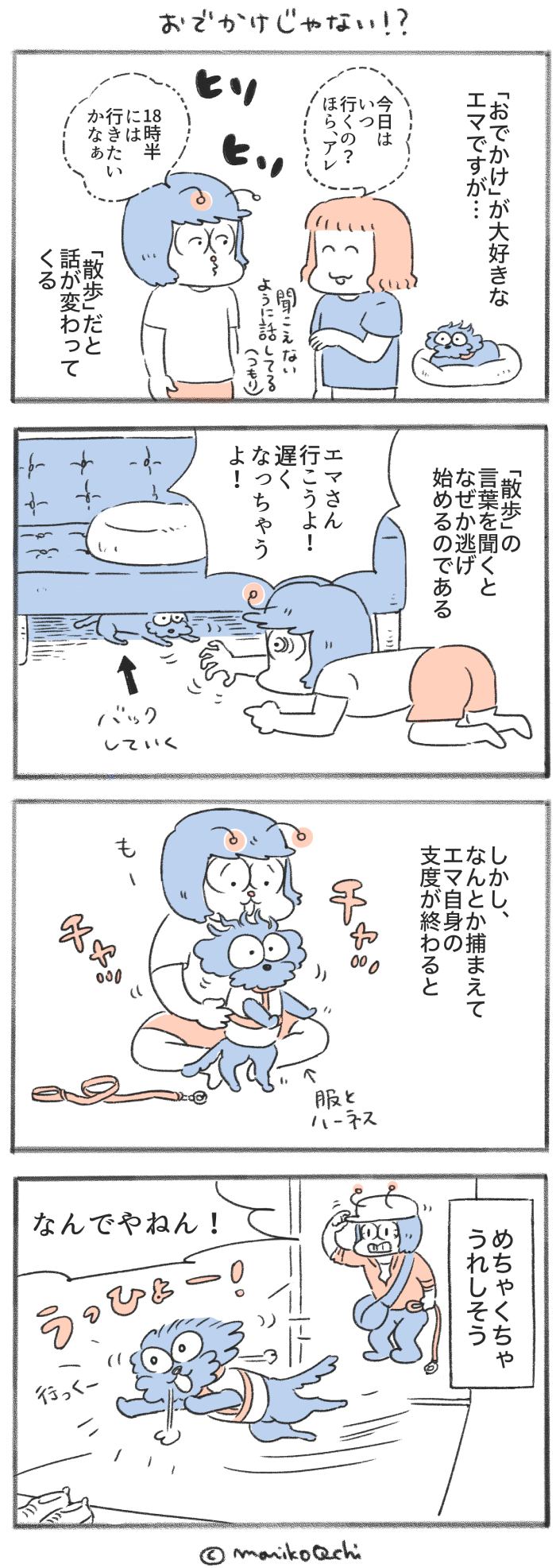 犬と暮らせば【第560話】「おでかけじゃない!?」