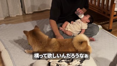 静かに見守ります