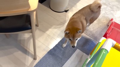 心配して戻ってきました