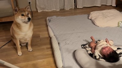 「早く来て！」