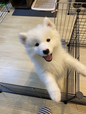 お迎え