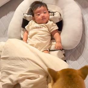 赤ちゃんが泣いているとすぐに駆け付ける犬→転がっている時には『お布団』を…愛おしすぎる光景が13万再生「素敵なお兄ちゃん」「ほっこりした」
