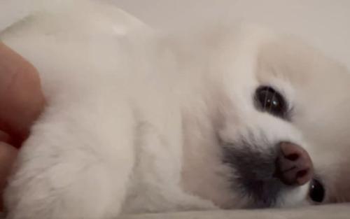 ハッ